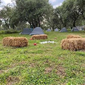 Cika's Camping Luxuszelt Borsh